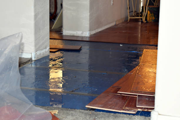Professional Burst Pipe Cleanup technician working in Norman, OK